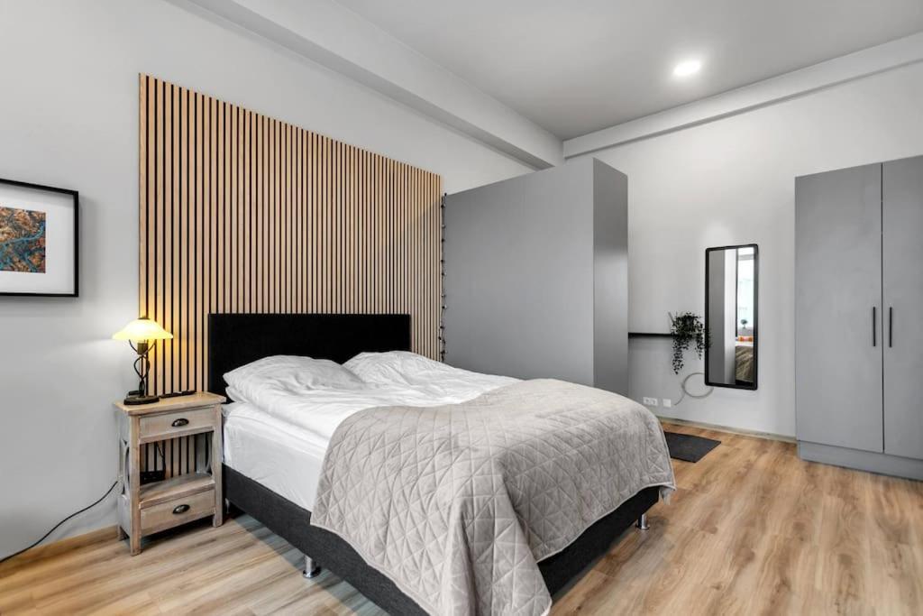 Charming Studio Apartment Рейкявик Екстериор снимка
